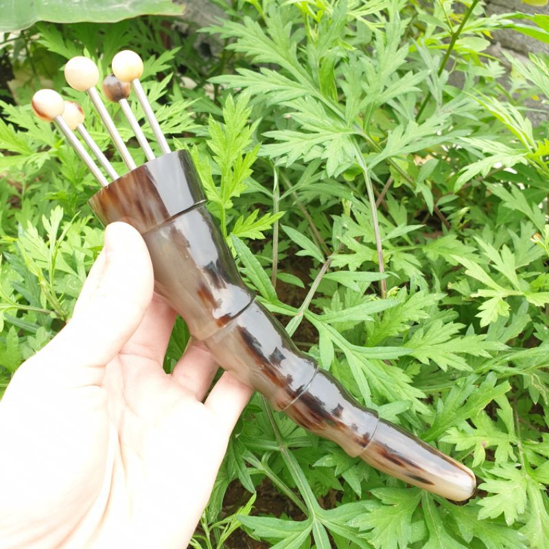 (HOT) Dụng cụ  cây bọ cạp  hoa khế sừng giúp giảm đau, massage giải cơ nhanh chóng