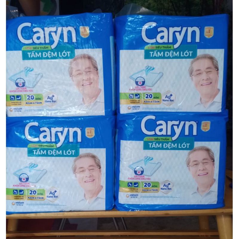 Tấm đệm lót người lớn Caryn 20