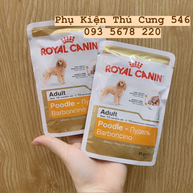 Pate dành riêng cho dòng chó Poodle 🐩🐩
