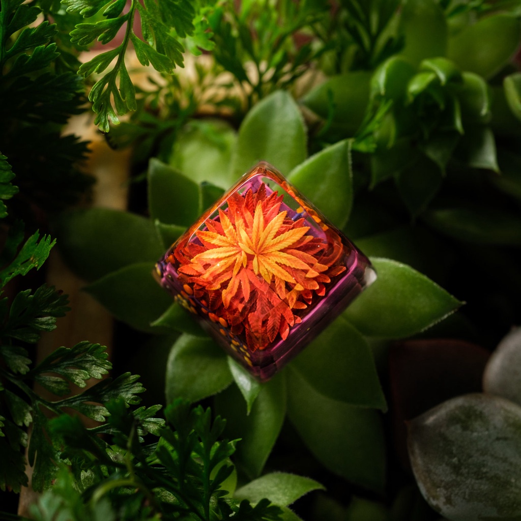 Keycap Artisan bàn phím cơ Dwarf Factory TERRARIUM V2  - Hàng chính hãng