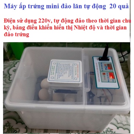 Máy ấp trứng mini 24-36 quả nắp trong suốt tiết kiệm điện