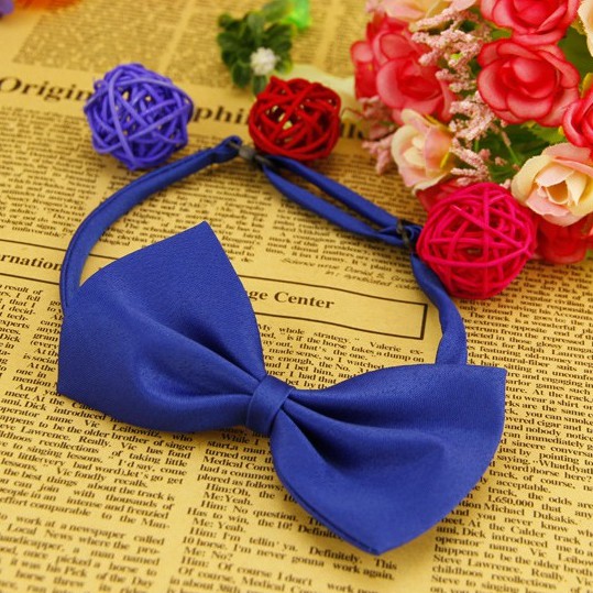 Nơ Cho Chó Mèo - Nơ Bướm Đeo Cổ Cho Thú Cưng