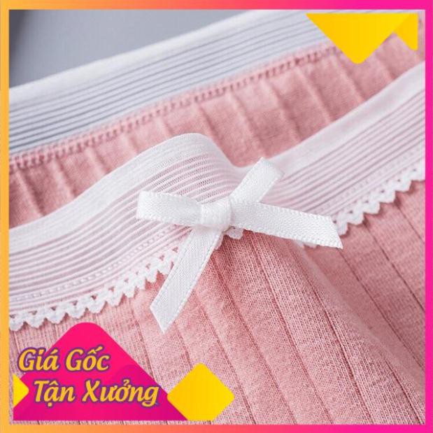 Quần Lót Cotton Tăm Viền Ren xuất Nhật 5362
