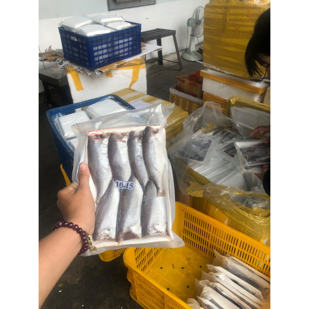 CÁ ĐÙ 1 NẮNG | BigBuy360 - bigbuy360.vn