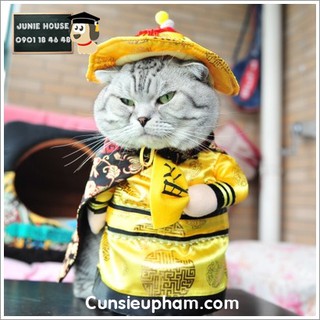 Áo tết Hoàng thượng cho chó mèo