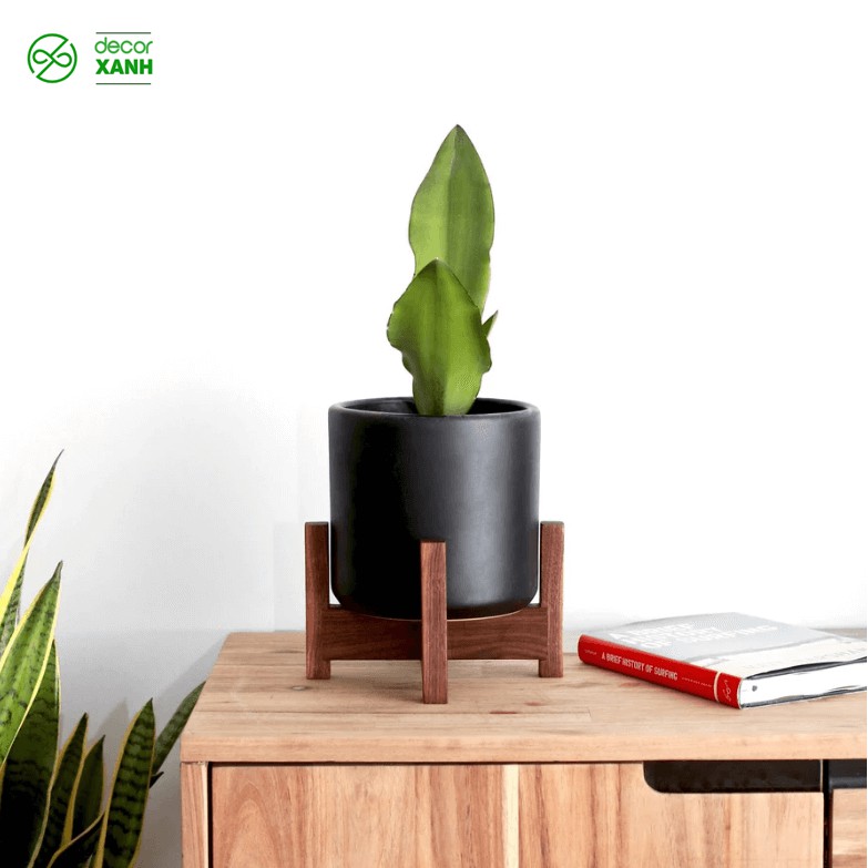 Chân kệ để chậu hoa, kệ để chậu cây mini để bàn, lắp ghép đơn giản - Hàng xuất khẩu