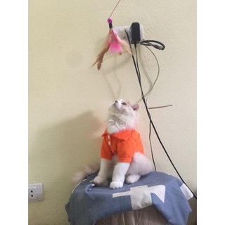 ÁO THUN POLO CHO THÚ CƯNG