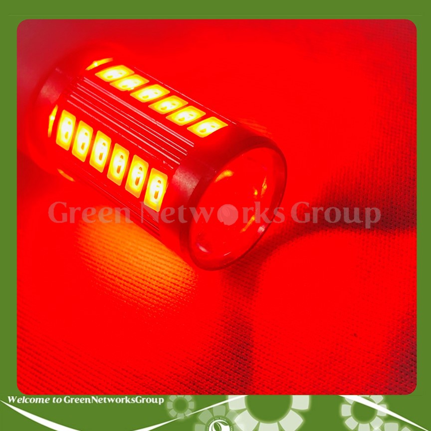 Bóng lùi LED T20 33 Tim 2 chế độ gắn đuôi xe ô tô Greennetworks ( Ánh sáng ngẫu nhiên )