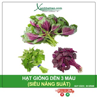 Hạt Giống Rau Dền 3 Màu Phú Nông Gói 20 Gram