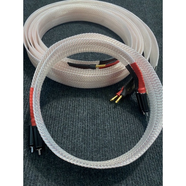 Nordost bãi Mỹ