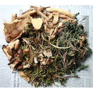 Cây mắc cỡ khô 1kg