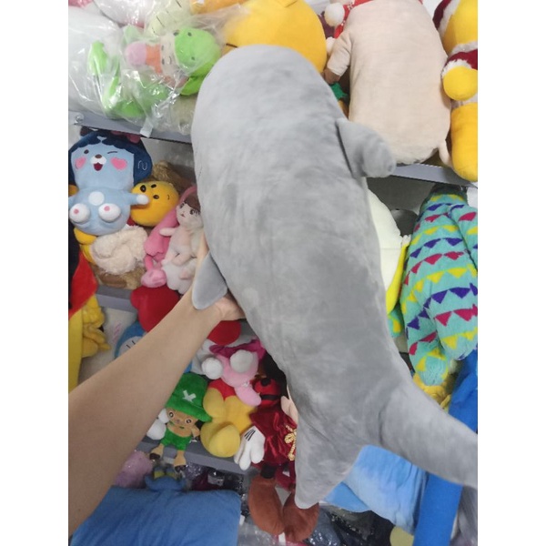 Gấu bông cá miniso size 40-50cm