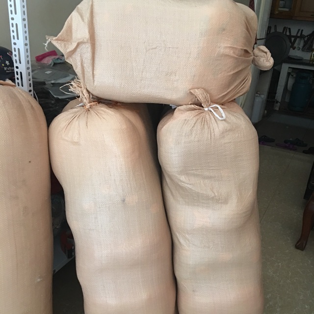 Sỉ sll gối đỡ bụng bầu