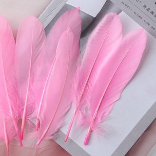 [kt : 12-17cm ] Lông cánh đủ màu
