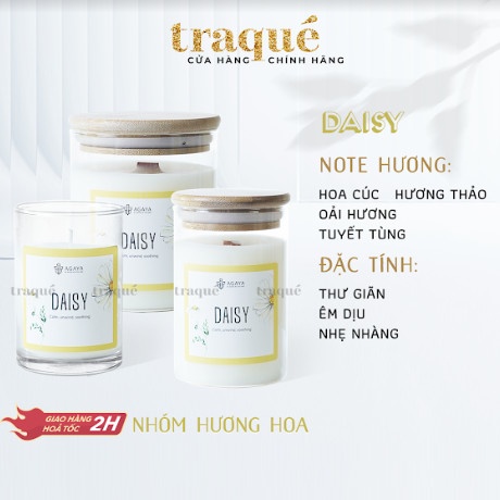 Nến thơm Candle Cup/Agaya - Hương Hoa DAISY