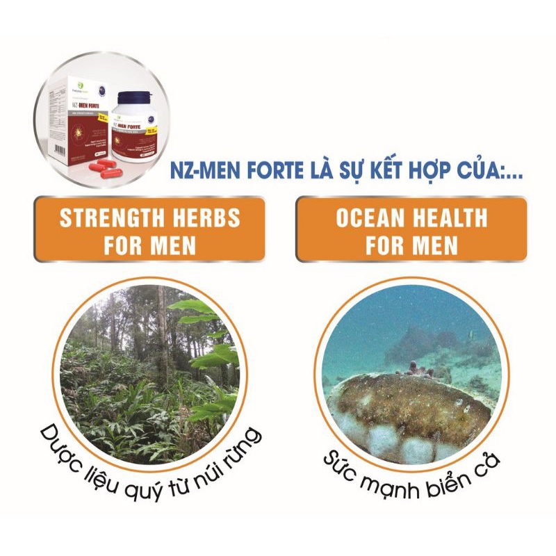 Viên uống everyday health NZ- men forte Tăng cường sinh lý Nam, tinh chất hàu, giúp bổ thận, hỗ trợ xuất tinh sớm - NTTH