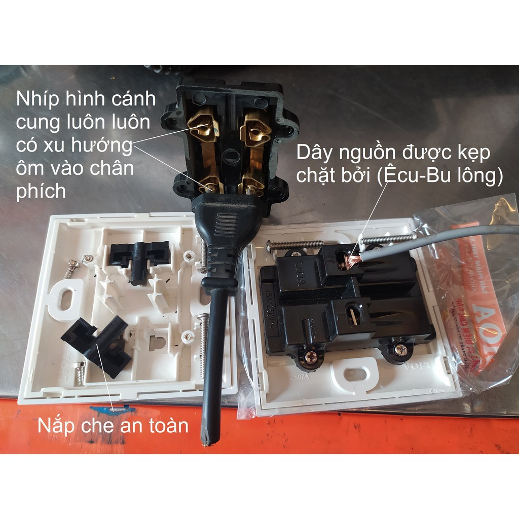 Ổ ĐÔI 2 CHẤU LiOA MẶT VUÔNG.