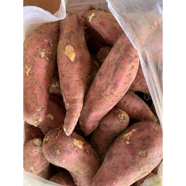 Khoai lang giống nhật 1kg