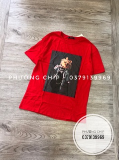 Các mẫu phông