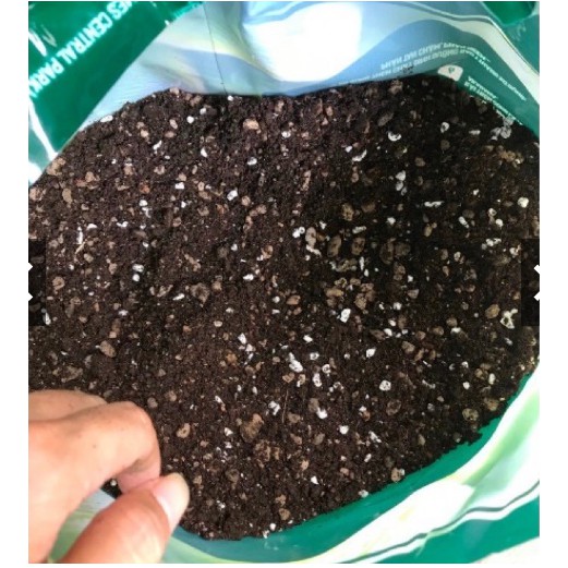 Đất trồng xương rồng và sen đá Soil mix