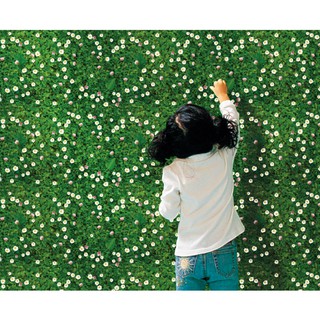 Decal trang trí dán tường, dán sàn - Cỏ hoa cúc dại