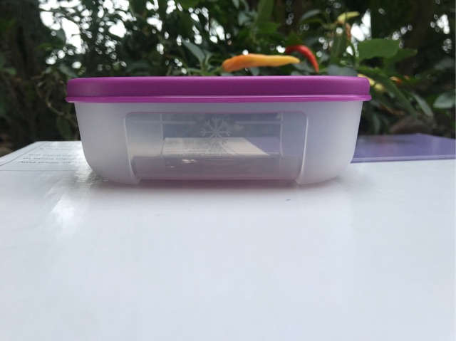 Tupperware - Hộp trữ đông super mini 140ml (1 hộp) | BigBuy360 - bigbuy360.vn