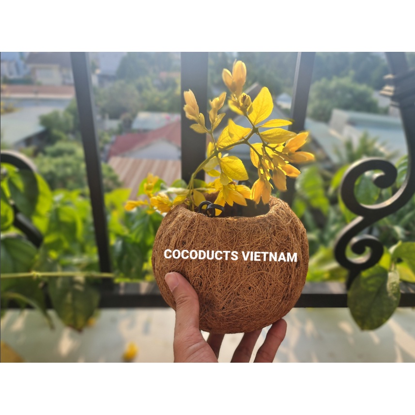 Quả cầu xơ dừa treo thủ công Cocodema