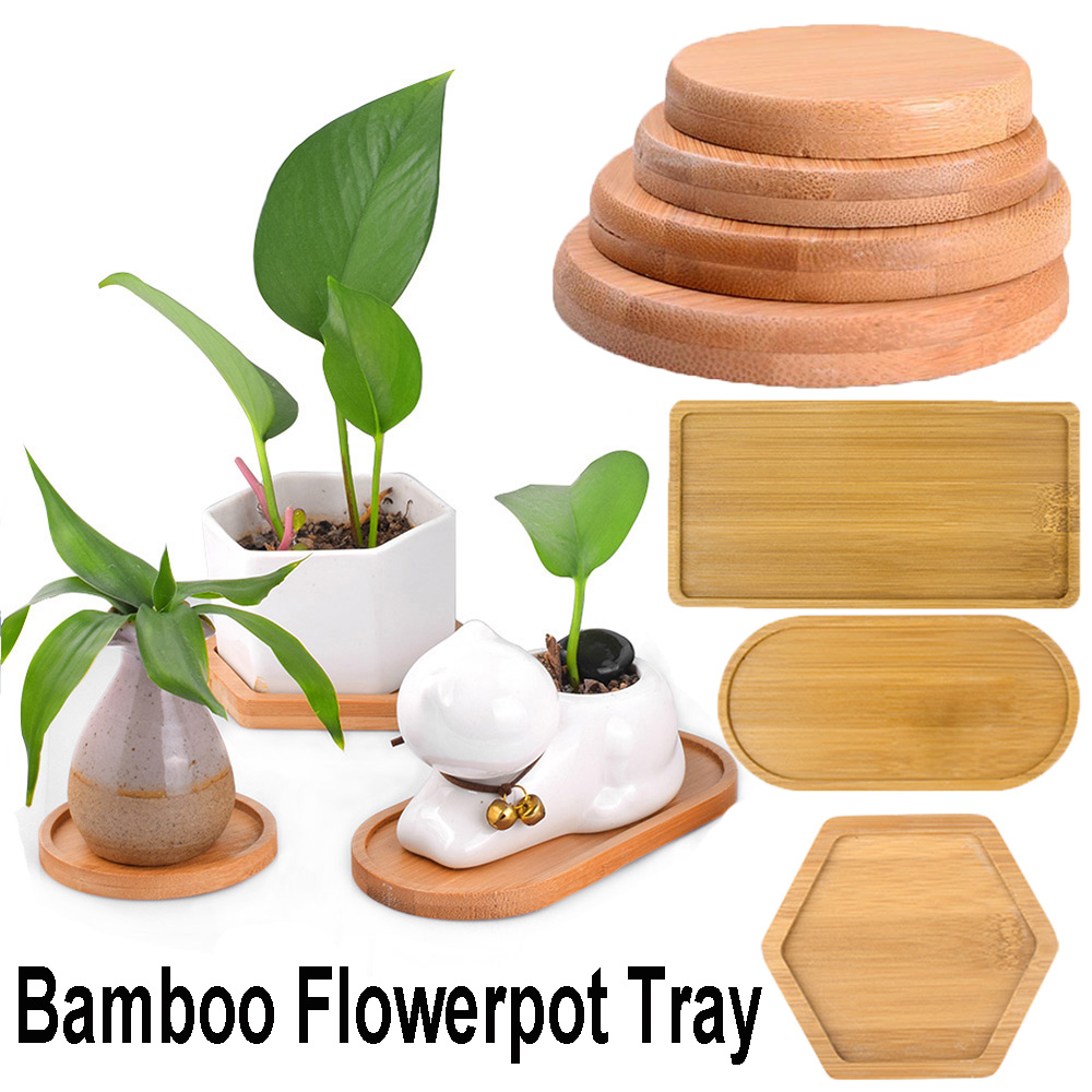 Khay Gỗ Trồng Cây Kiểu Dáng Đơn Giản Tiện Dụng