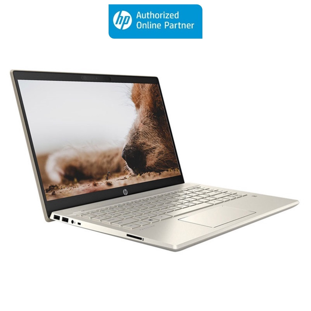 [Mã ELHP15 giảm 10% tối đa 2TR] Laptop HP Pavilion 14dv0520TU