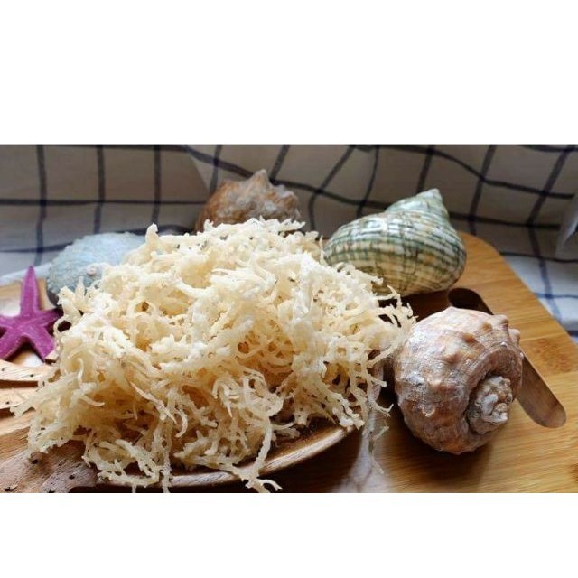 Rong Sụn - Rong Biển Trắng - 1kg