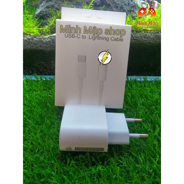 Bộ sạc nhanh IP 20W cáp lighting Type C