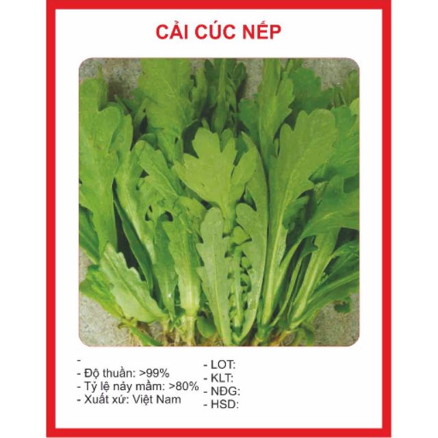 Hạt giống Cải Cúc 100 hạt