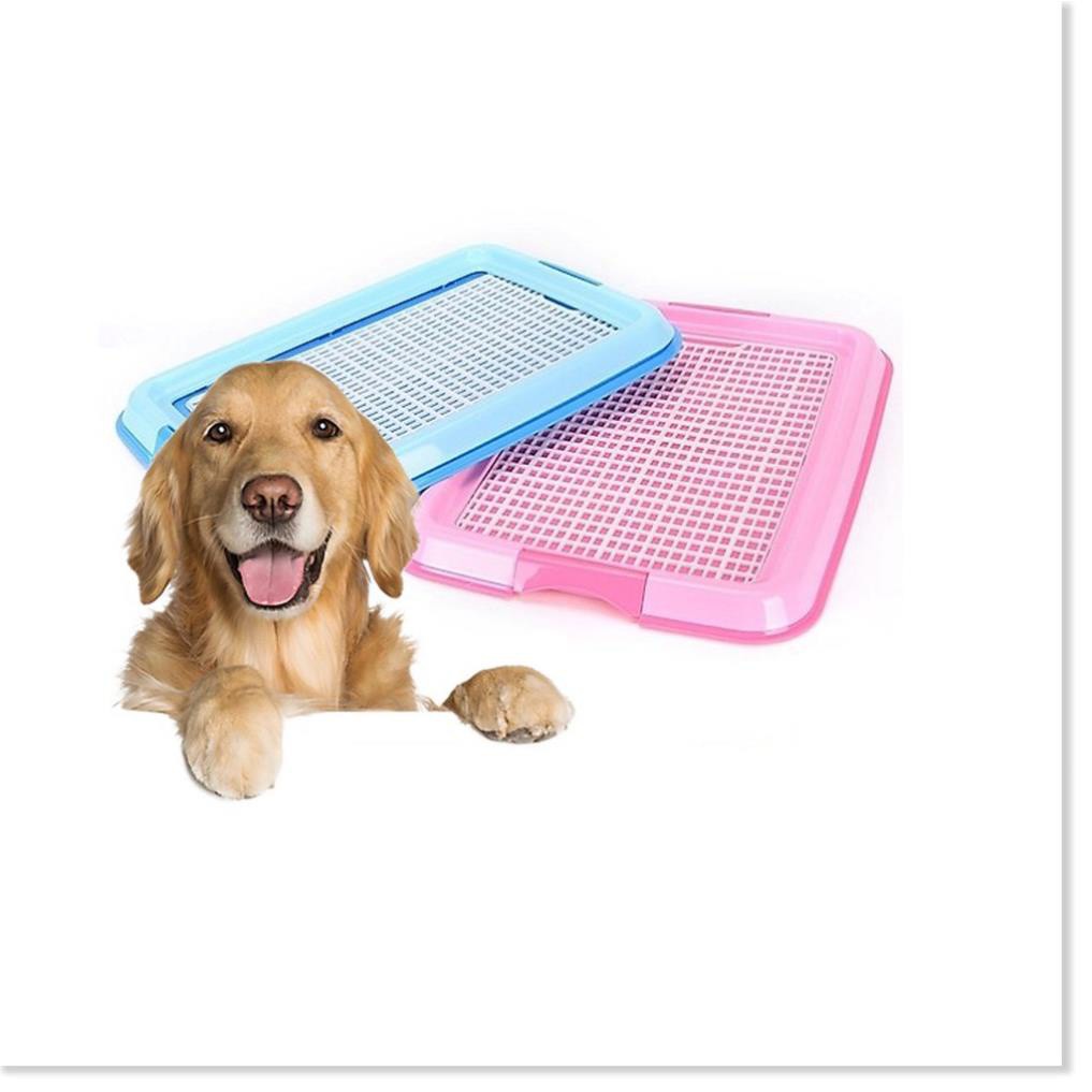 Khay vệ sinh cho chó lớn và nhỏ  - Tặng 3 tấm tã giấy -khay đi vệ sinh cho chó đực và chó cái