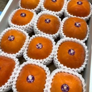 CÂY HỒNG ĐEN NHẬT BẢN NHẬP KHẨU.KHÔNG HẠT