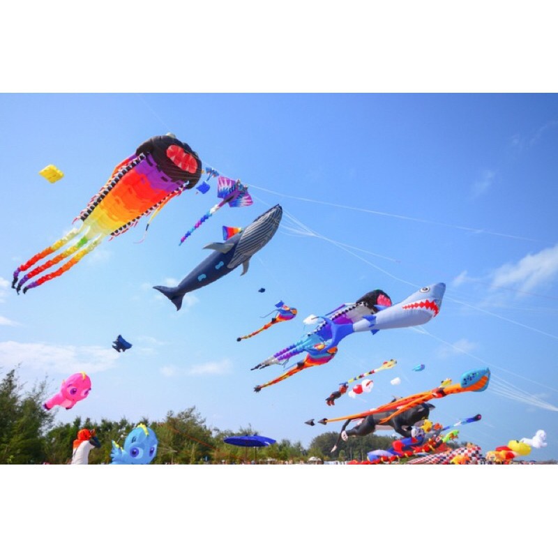 Diều thả hình rồng, phượng, cá mập,... chất liệu vải dù cao cấp