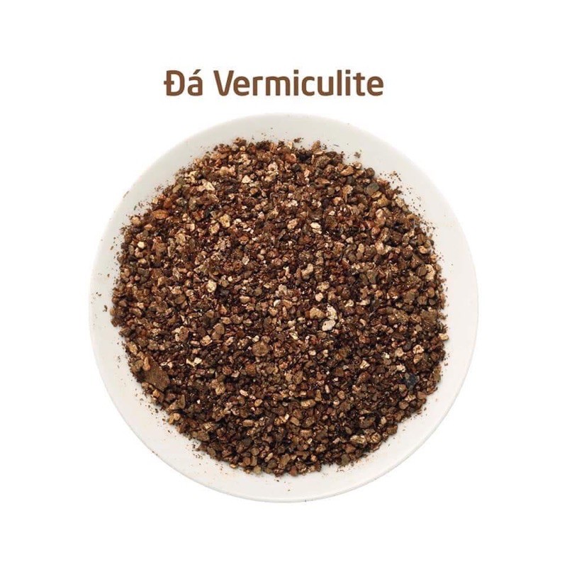 Đá Pumice , Perlite, Vermiculite , Peast Moss