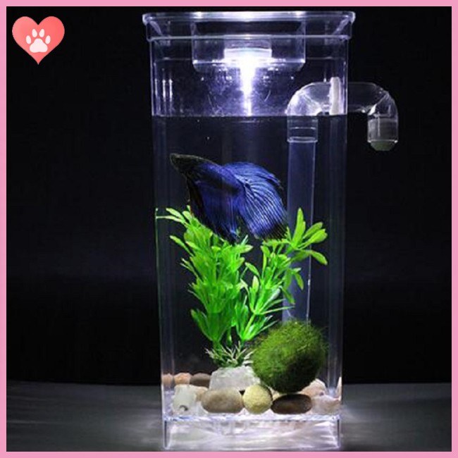 Ecological Fish  Bowl Slacker Desktop Case Self-cleaning Aquarium Mini Fish