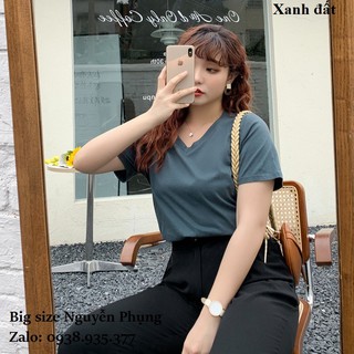 Áo thun trơn cổ tim big size