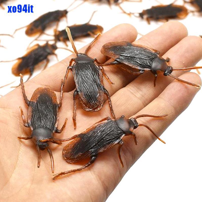 Bộ 10 con gián giả bằng cao su đồ chơi giống thật đặc biệt