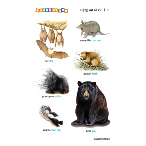 Sách - 5500 từ vựng tiếng Anh thông dụng nhất  - tái bản