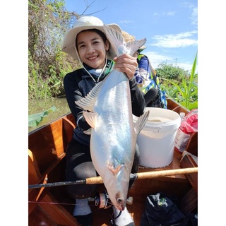TINH MÙI CÂU CÁ TRA MAYME