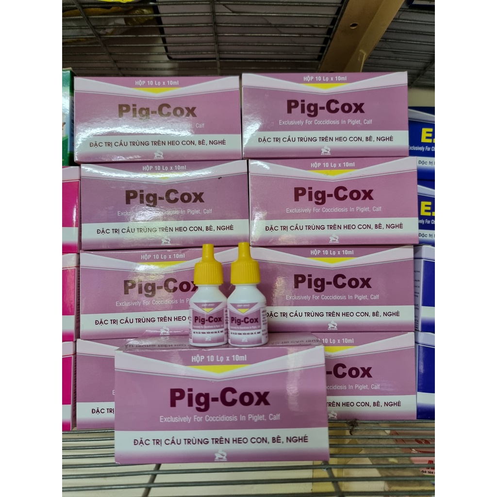 PIG COX LỌ 10ML