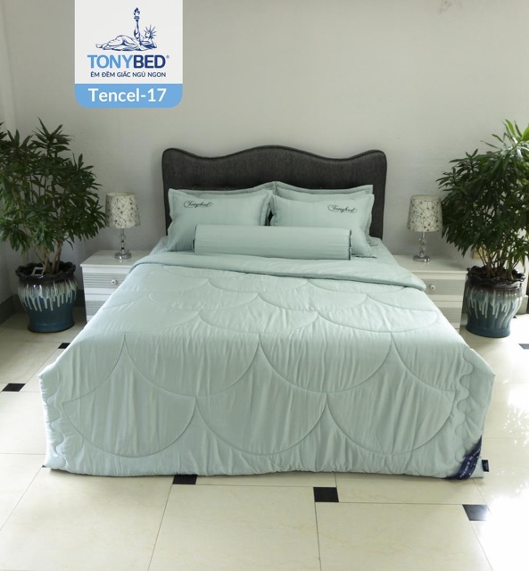 Bộ chăn,drap Tencel màu -Tonybed