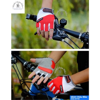Găng tay xe đạp Black Forest (size L)