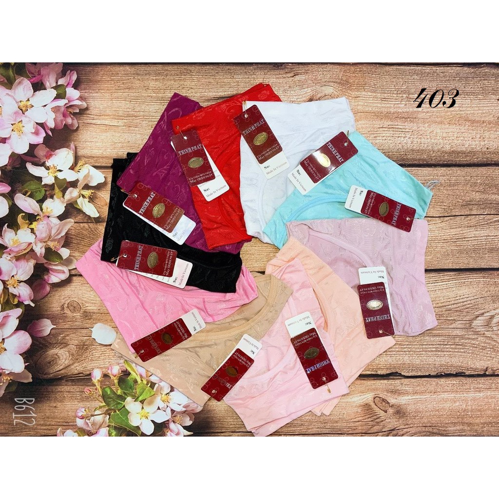 COMBO 5 QUẦN BÔNG ÉP 403