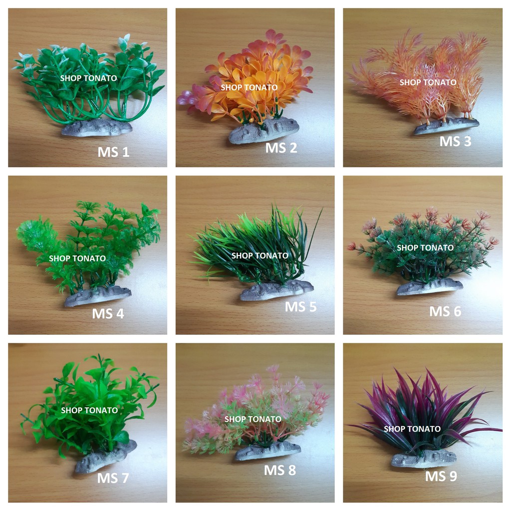 RONG TRANG TRÍ HỒ CÁ D CAO 10CM