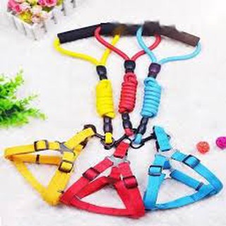 Dây dắt kèm yếm tròn cho chó mèo size 0.8