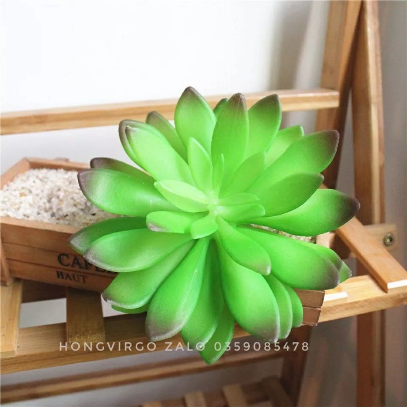 Hoa Sen Đá Giả Cao Su bông dài 15cm x đường kính bông 13cm