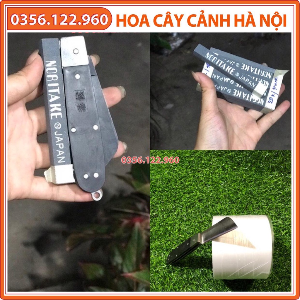 Bộ 3 dụng cụ chiết ghép cây lưỡi đen cán gập, giấy ghép tự hủy khổ 5cm, viên đá mài Nhật Bản cao cấp