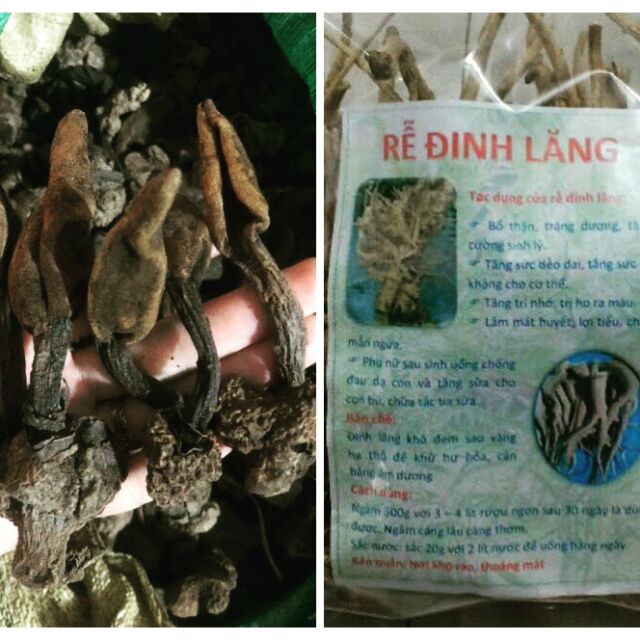Combo 2 kg nấm ngọc cẩu khô và 2 kg rễ đinh lăng khô nguyên rễ